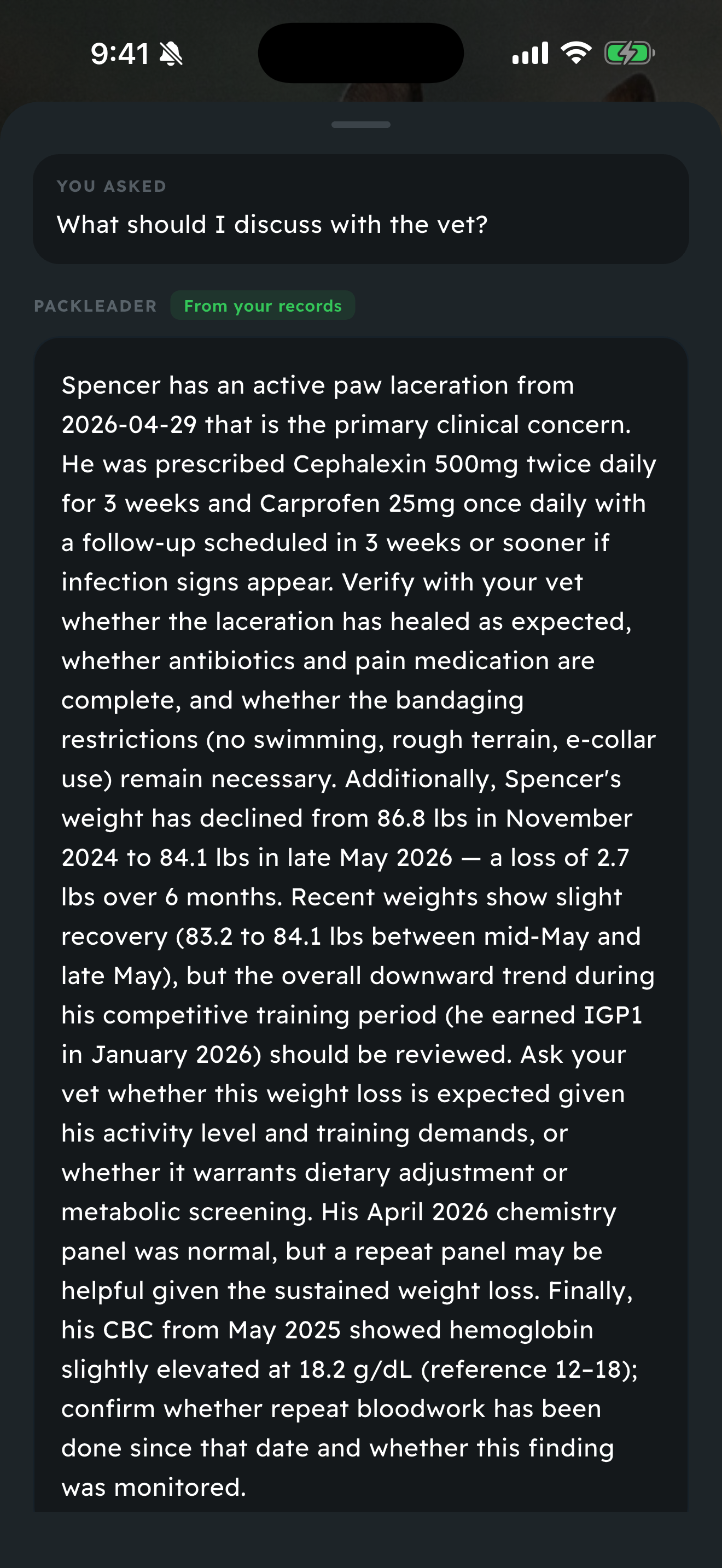 PackLeader AI answer showing response synthesized from injury thread, weight, medications, and lab results